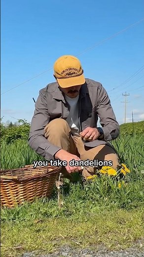 I Turned Dandelions into Wine