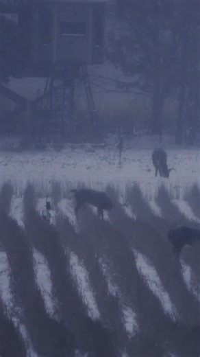 Pat & Nicole Reeve on Instagram: "Minnesota late season is here. Time to make some smoke with the @tcarmsco muzzleloader and try to punch a tag on a tough MN buck."