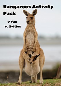 Kangaroo Activity Pack: Australian Animals Worksheets, Quiz, Maze (PDF Download) - Etsy UK