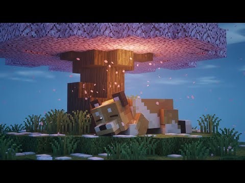 Cozy Minecraft Sakura Forest – Sleeping Dog & Snowy Blossom Ambience | 1 Hour Music