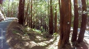This video is about 4k Redwood Forest Aerial Flying Valley Trees Sun and Road