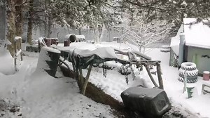 18 reactions | Welcome to the Winter Wonder Land ❄️❤️ | Paintball Palace | Facebook