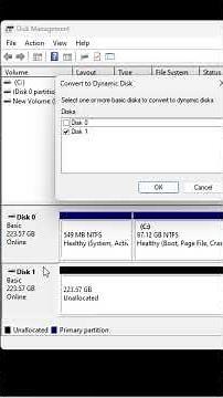 How to Convert Basic Disk to Dynamic Disk in Windows 11