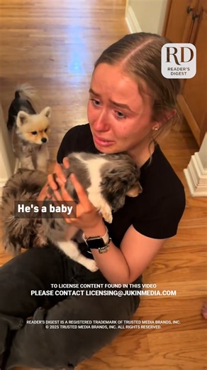 There's no better gift than a puppy! #puppy #puppysurprise #cutepuppies | Reader's Digest