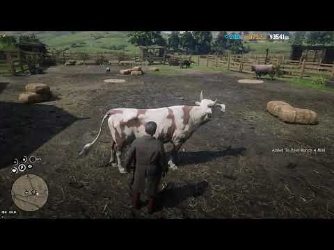 Syn Ranch RedM Read Dead Redemption Script