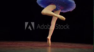 A ballerina dances en pointe on stage during a performance.