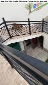 look Threw the key down to test the dogUSAFacts #InterestingFacts #FYPUSA #TikTokFacts #LearnSomethingNew #AmazingFacts #FactsForYou #USA | MinhazRubel Shorts