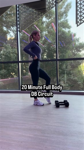 Sinead - Online Coach on Instagram: "20 Minute Full Body Circuit 💦 You’ll not only work up a sweat but you’ll hit all muscle groups. Perfect for when your short on time but need a good workout 💪🏼 1. Split Squat x 10 each leg 2. Renegade Row x 20 alternating 3. Lateral > Curtsy Lunge x10 each side 4. Double Dead Bug x10 5. Bicep Curl > Shoulder Press x10 6. Double Squat Pulse x10 Rest and Repeat x3"