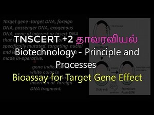 32.Botany | Biotechnology - Principle and Processes | Bioassay for Target Gene Effect