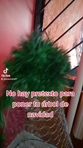 8.5K views · 112 reactions | Mujer enseña cómo poner un árbol de navidad 'humilde' con poco dinero; "no hay pretexto" señala https://lidernoticias.com.mx/mujer-ensena-como-poner-un-arbol-de-navidad-humilde-con-poco-dinero-no-hay-pretexto-senala/ | Lider Noticias | Facebook