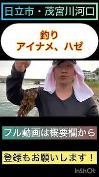 【初心者釣り】日立港・茂宮川河口で、アイナメとハゼを釣る！