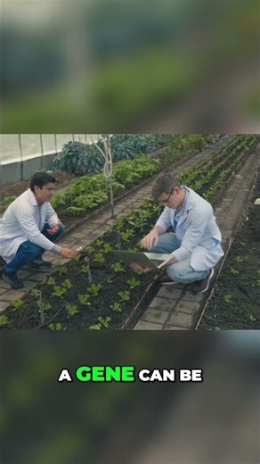 CRISPR Explained: Gene Editing Like Molecular Scissors!