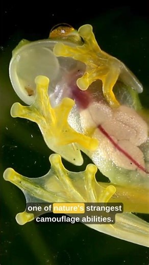 Nature’s Most Unbelievable Biological Secrets