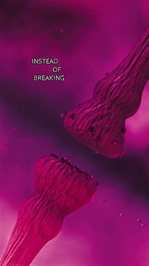 #neuroscience #mind #thecairnmind #psychologyfacts #selfmastery