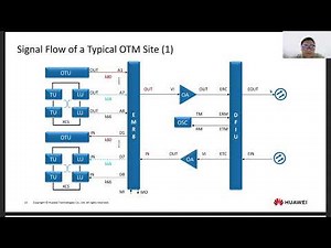 WDM and OTN Networks and Site Signal Flows