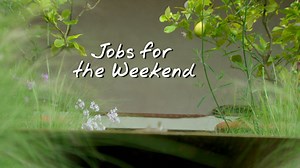 24K views · 761 reactions | BBC Gardeners World on Reels | Facebook