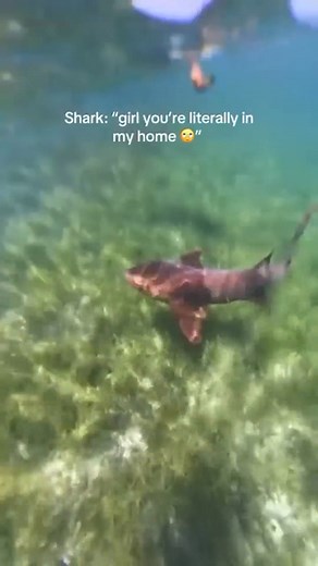 Would you go snorkeling with a one year old? Hi! 👋 My name is Jess and I share travel tips, tricks, and destinations when traveling with little kids! ✈️ ✨Follow for more! ❤️ #baby #toddler #preschooler #familytravel #traveltips | Where Is Briggs