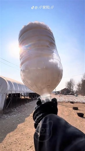 A Man Collects Geese Down and Here's Why #facts