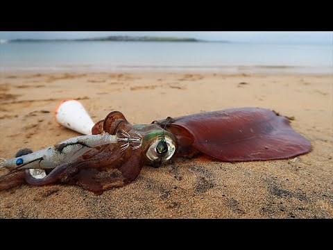 Beach Squid Fishing! (Tips, Tricks and Techniques)