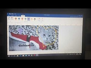 Tutorial básico de PicPick🙃