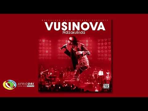 Vusi Nova - Ndizakulinda (Official Audio)