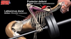 1.4K views · 1.1K reactions | One Arm Landmine Row Watch all active...