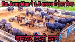 22K views · 1.5K reactions | Ultimate Collection.20 Murrah Buffaloes in Gurugram(Haryana). Milk -18 to 24 Kg. | Sansaniwal Dairy Farm | Facebook