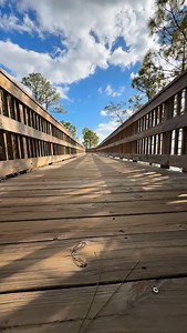 🚨Certified Hidden🚨 Awesome park with long boardwalks right on the edge of the St. John’s River! It provides a unique view point of Jacksonville and you can watch the ships go by, fishing on the extended fishing pier, Florida nature walks, or picnic in a wooded area. 📍: location at end of reel 📸: @justintime2run | Hidden Jacksonville