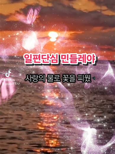 #일편단심 민들레야#바다노을 #제주바다 #삼양방파제 #검은모래해변