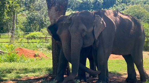 26K views · 1.9K reactions | This week’s Sunday Smile is a gentle...