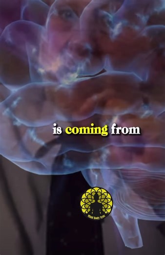 "Reprogram Your Subconscious: How Your Mind Shapes Your Reality" Dr Br...