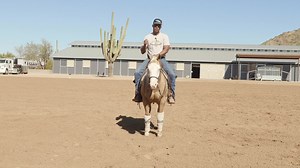 " TIP OF THE WEEK " ~ Are you having trouble shutting your horse off in the spin? Give this a try. . Checkout my training video subscription @mattmillsreining.com | Matt Mills Reining