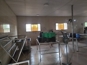 A Beginner's Guide to Establishing a Chicken Processing Plant - Livestocking