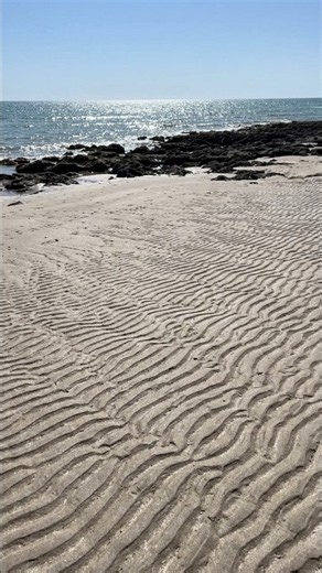 Walking Along Rocky Point’s Low-Tide Beach 🇲🇽🌊 | 🏖️