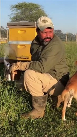 dog pees on man 🤣🤣