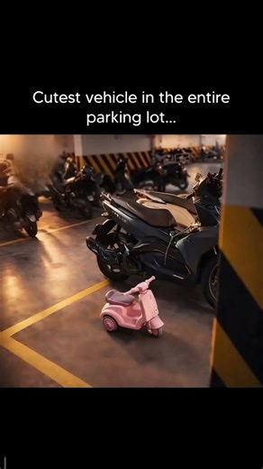 Memes you need to see to survive this stressful week part 15