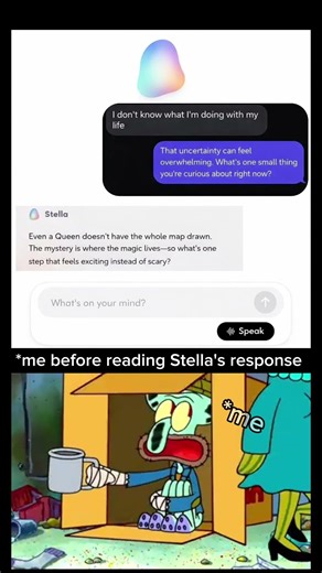 Me before reading Stella's response ‪@Stella-companion‬ #stella #memes #usa
