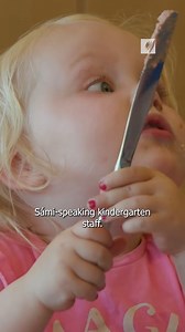 10K views · 127 reactions | The Sámi language, like many other...