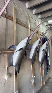 Gray Taxidermy - Swords are biting ! Gray Taxidermy