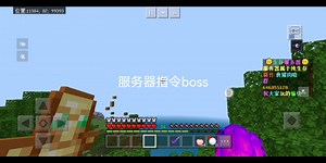 服务器指令boss
