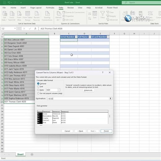 What Excel Experts Don't Tell You About Splitting Text into Columns