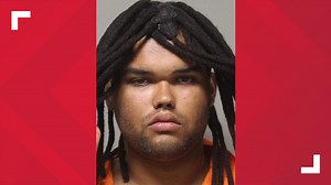 York man arrested for killing kitten with sword