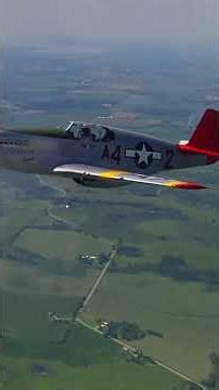 P51C Flying Over Tuskegee | Rebuilt and Repainted the Mustang Flies Again