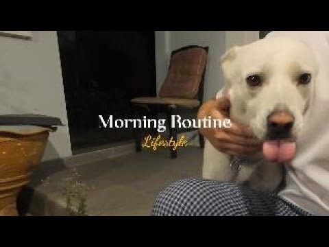 Morning Routine