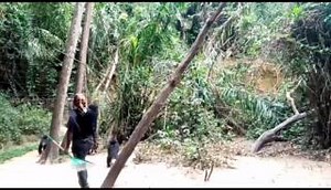 10K views · 415 reactions | In 2023, your generosity saved seven...