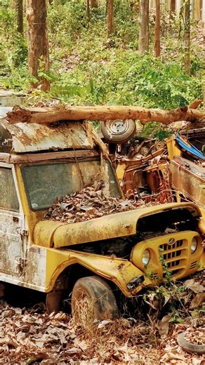 GHOST jeep#deep forest# india..