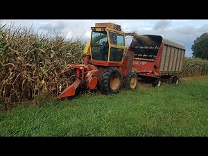 Opening Corn Fields With The Fox Chopper