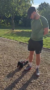 167K views · 1.8K reactions | Leash Reactivity And How Fixing The Lead Part Helps…. … it can also massively help with helping a dog relax more. #dogs #smalldog #viral | Southend Dog Training | Facebook
