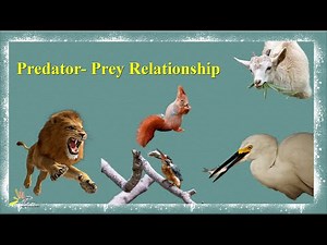 Predator Prey Relationship | Grade 4 | Unit-2 | General Science | SNC | PEN Academy