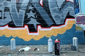 Gang Map Shows Lake View is Home to ‘Gangster Disciples’